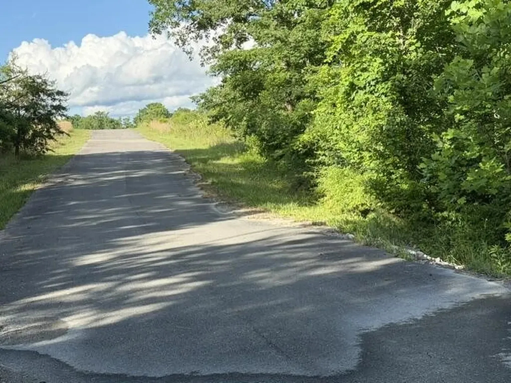 196 Big Bluff View Pikeville TN 37367