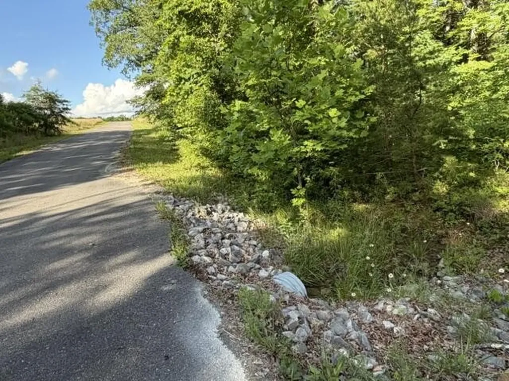 196 Big Bluff View Pikeville TN 37367