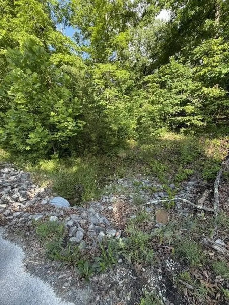 196 Big Bluff View Pikeville TN 37367