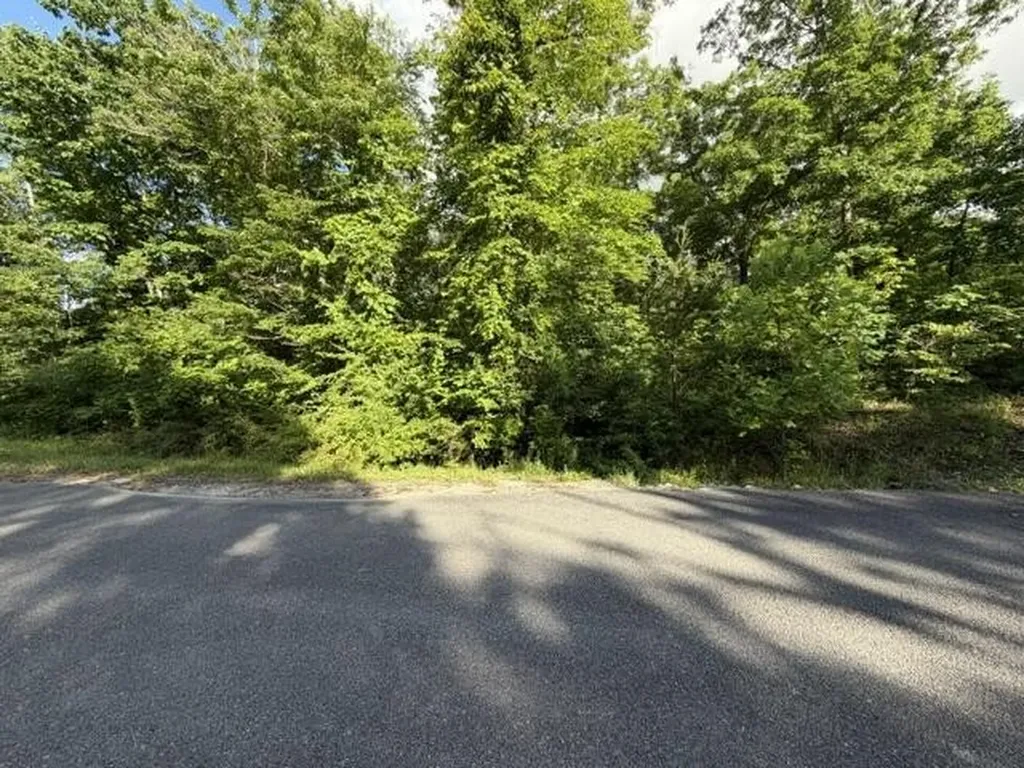 196 Big Bluff View Pikeville TN 37367