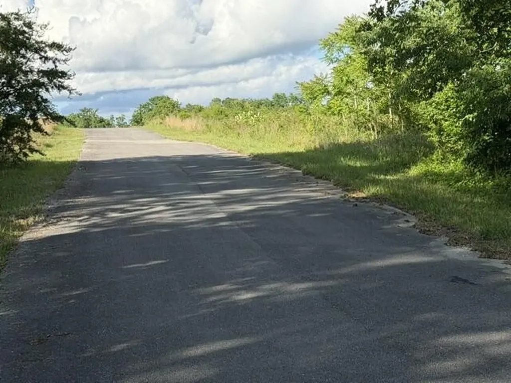 196 Big Bluff View Pikeville TN 37367