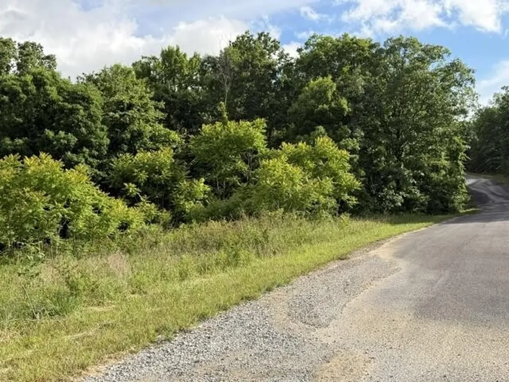 196 Big Bluff View Pikeville TN 37367