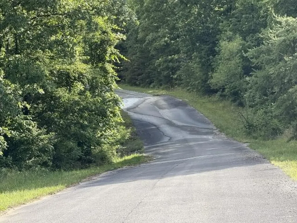 196 Big Bluff View Pikeville TN 37367