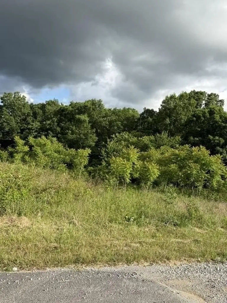 196 Big Bluff View Pikeville TN 37367
