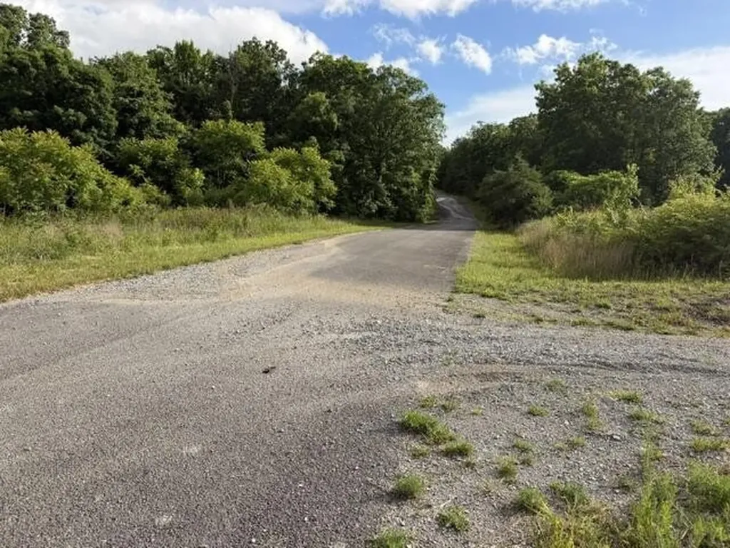 196 Big Bluff View Pikeville TN 37367