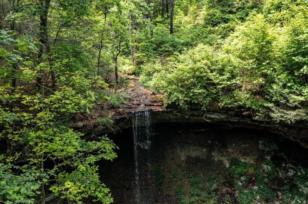 196 Big Bluff View Pikeville TN 37367