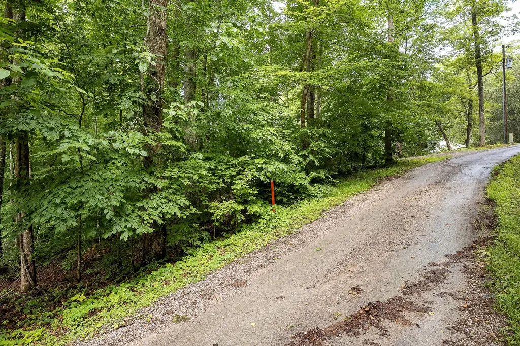 222 Witherspoon Drive Smithville TN 37166