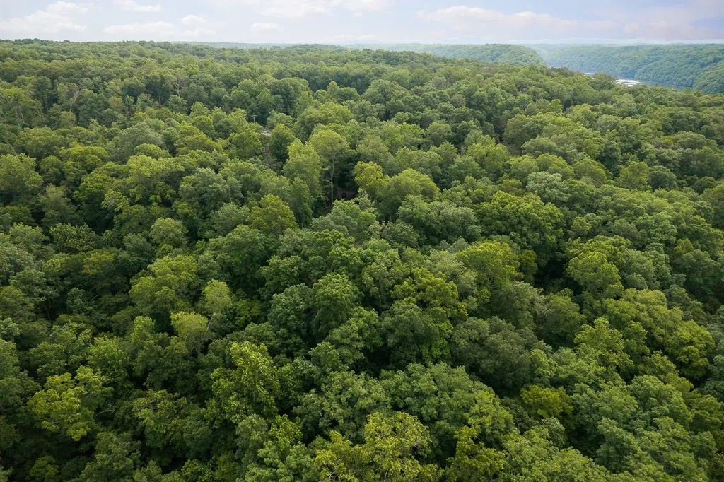 222 Witherspoon Drive Smithville TN 37166