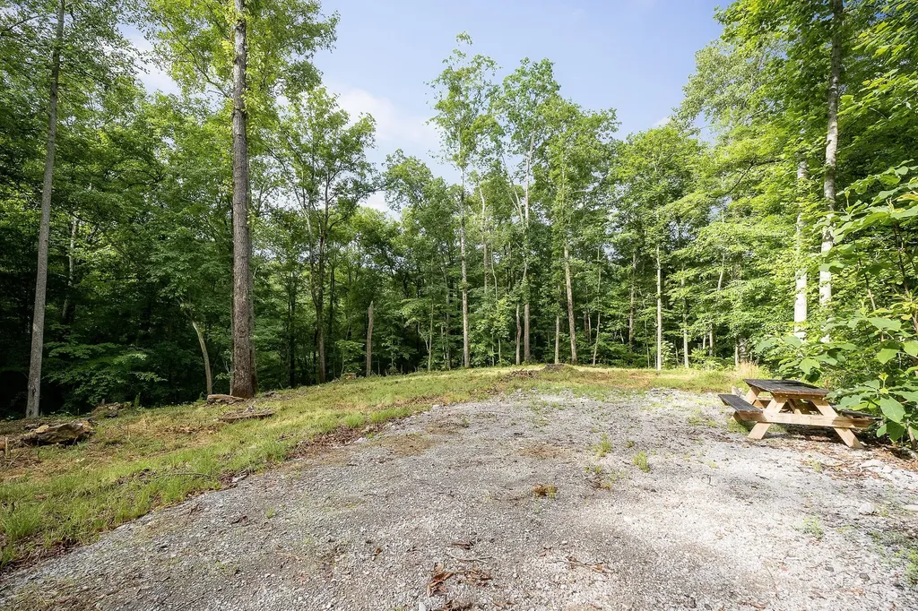 222 Witherspoon Drive Smithville TN 37166