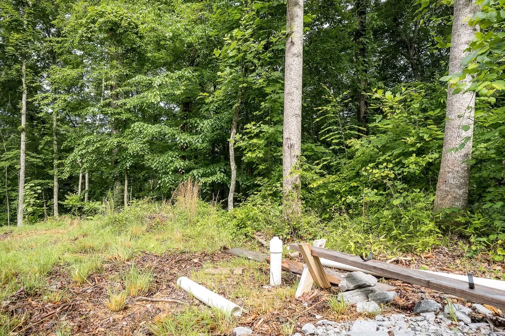222 Witherspoon Drive Smithville TN 37166