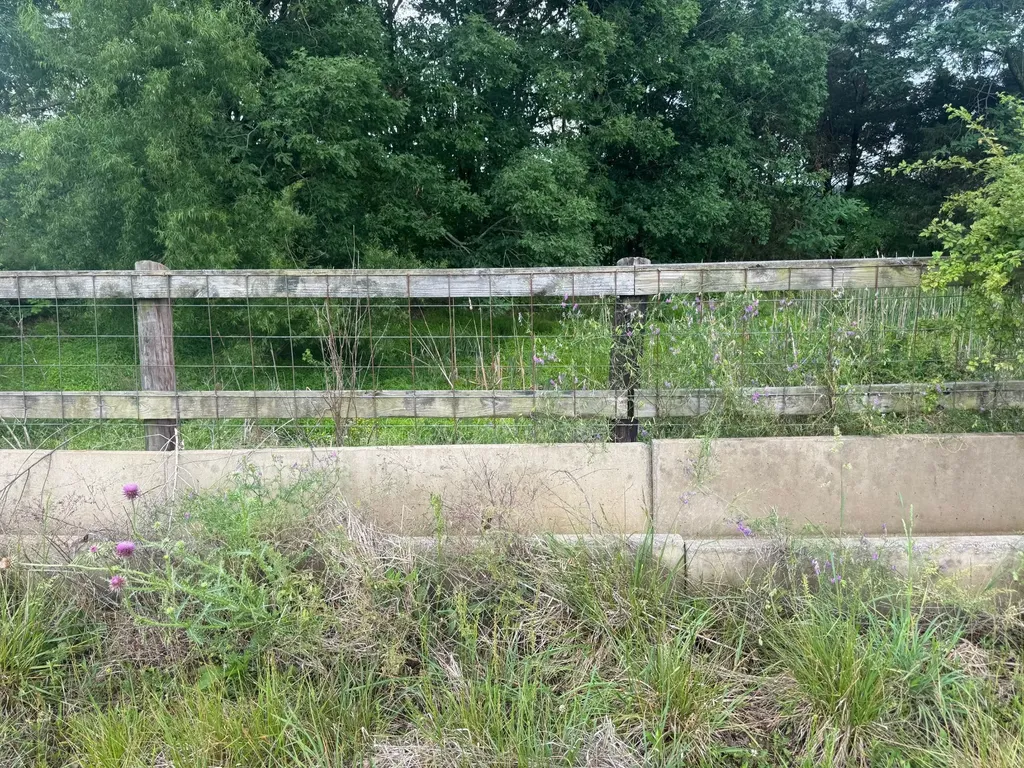 0 Hummingbird Lane Celina TN 38551