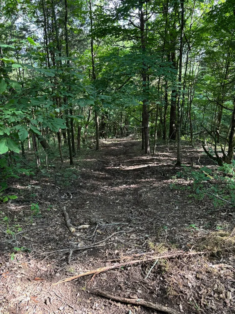 2517 Patton Hollow Road Watertown TN 37184