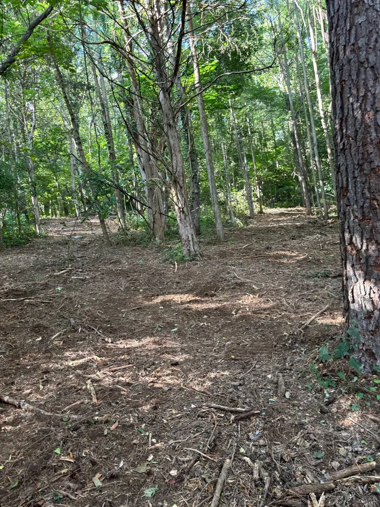 2517 Patton Hollow Road Watertown TN 37184