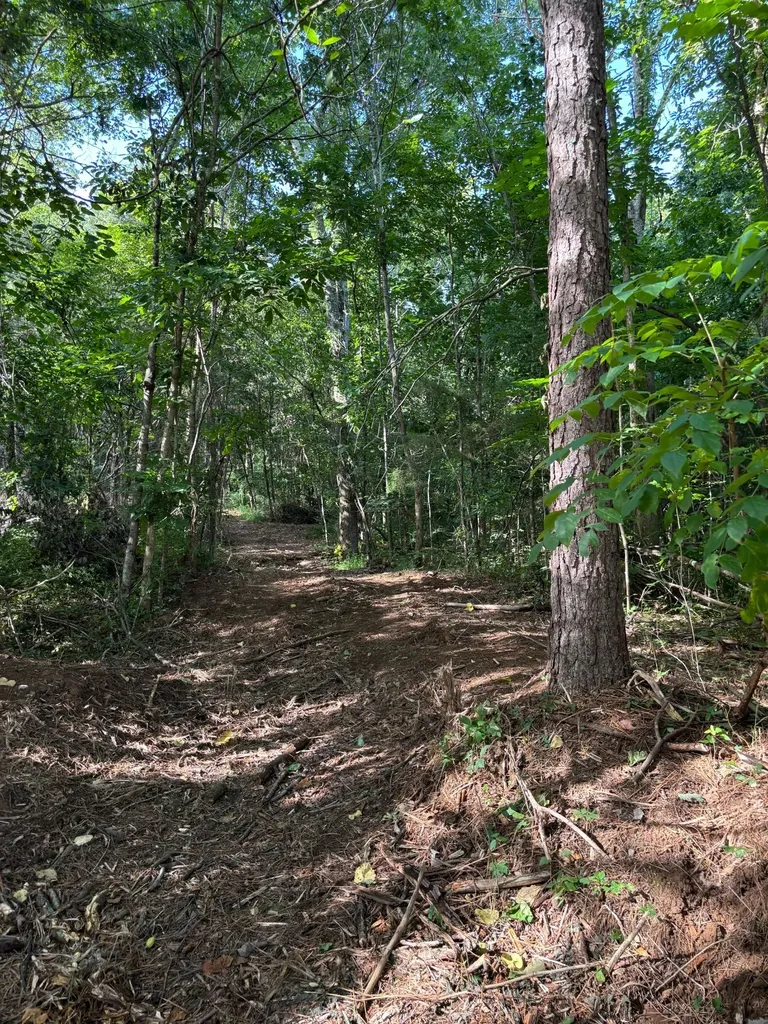 2517 Patton Hollow Road Watertown TN 37184