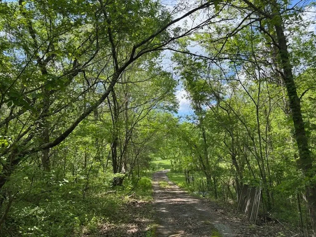 2517 Patton Hollow Road Watertown TN 37184