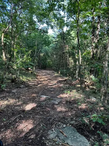 2517 Patton Hollow Road Watertown TN 37184