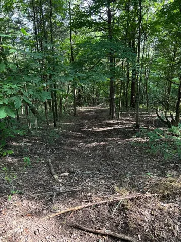 2517 Patton Hollow Road Watertown TN 37184