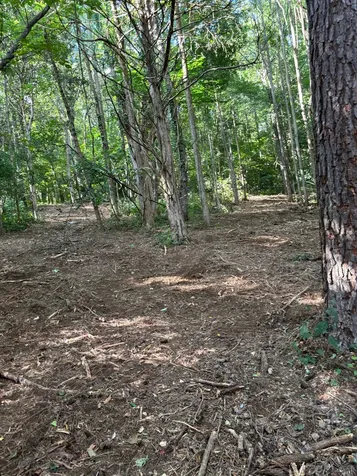 2517 Patton Hollow Road Watertown TN 37184