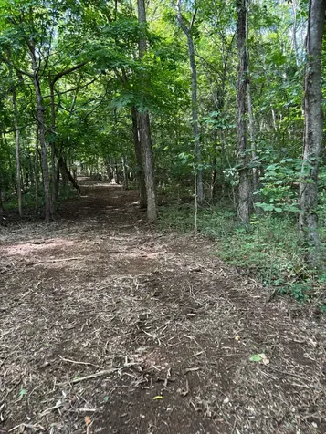 2517 Patton Hollow Road Watertown TN 37184