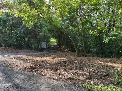 2517 Patton Hollow Road Watertown TN 37184