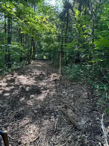2517 Patton Hollow Road Watertown TN 37184