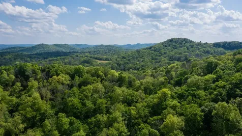 2517 Patton Hollow Road Watertown TN 37184
