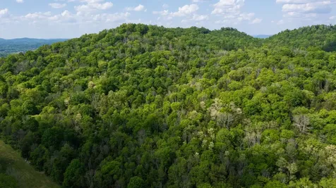 2517 Patton Hollow Road Watertown TN 37184