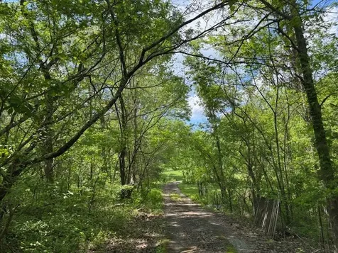 2517 Patton Hollow Road Watertown TN 37184