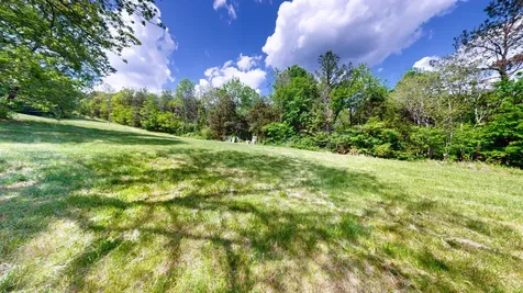 2517 Patton Hollow Road Watertown TN 37184