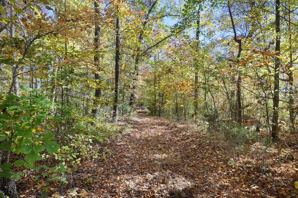 0 Smithville Highway Silver Point TN 38582