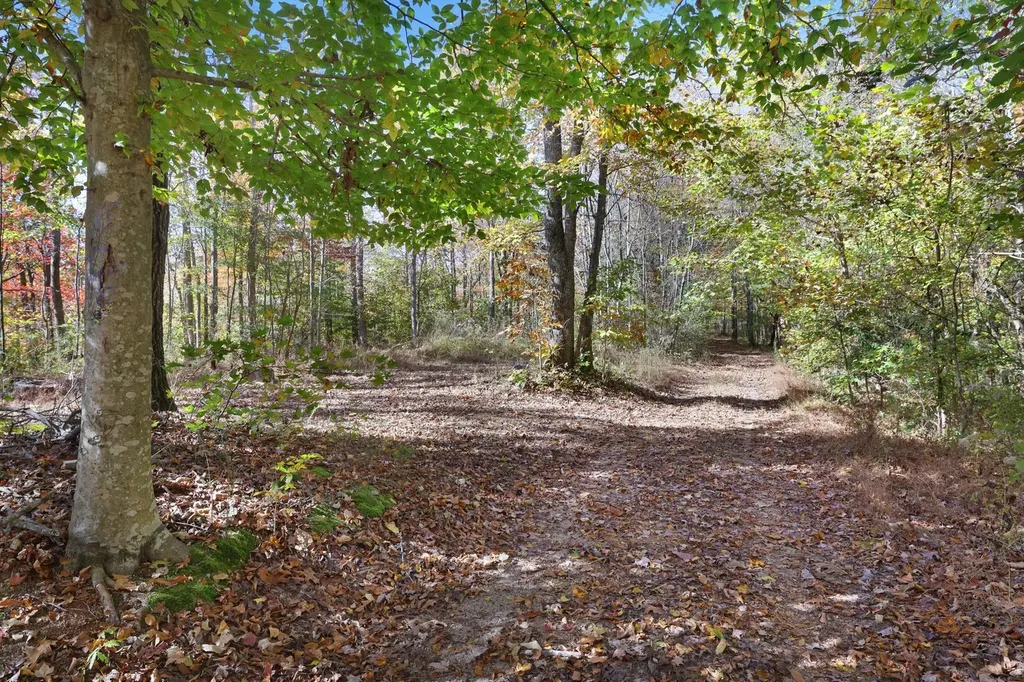 0 Smithville Highway Silver Point TN 38582