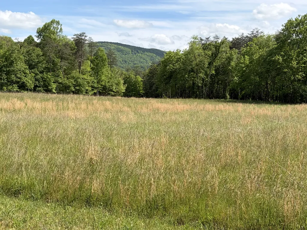 0 Marie Lane Crossville TN 38555
