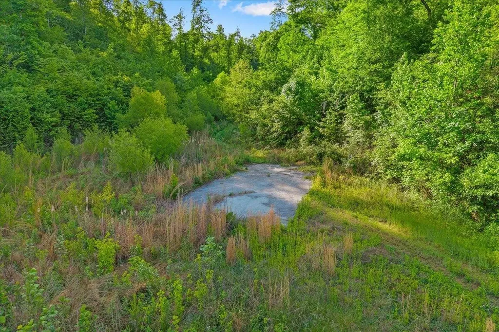 5673 Highway 360 Tellico Plains TN 37385