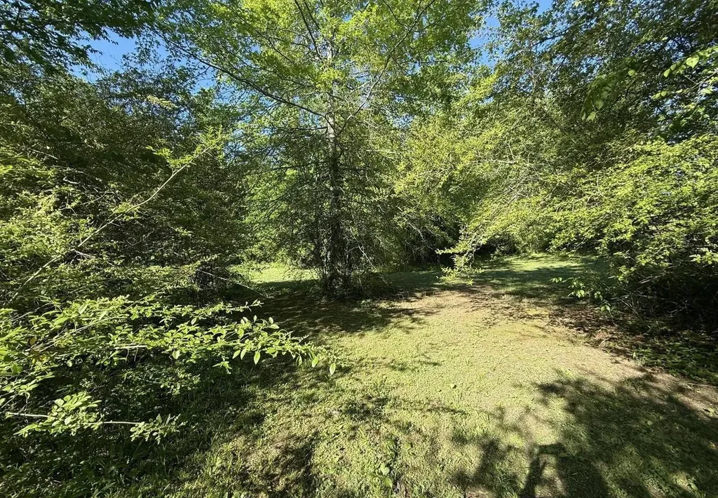 500 County Road 41 Calhoun TN 37309