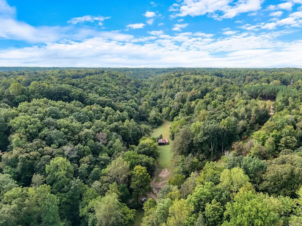 1344 Cut Off Road Ethridge TN 38456