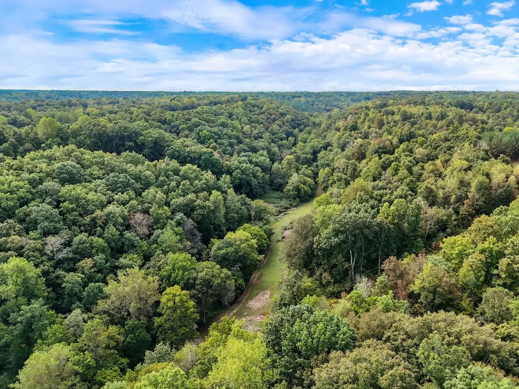 1344 Cut Off Road Ethridge TN 38456