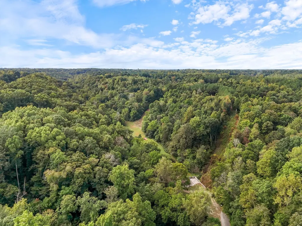 1344 Cut Off Road Ethridge TN 38456