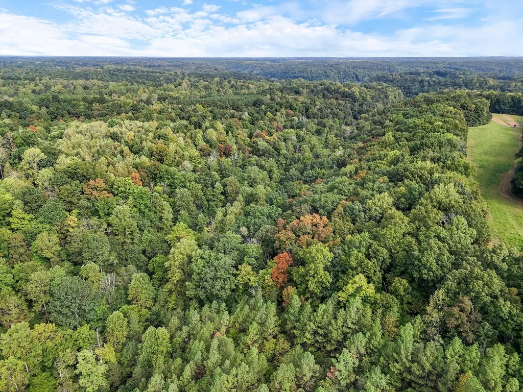 1344 Cut Off Road Ethridge TN 38456