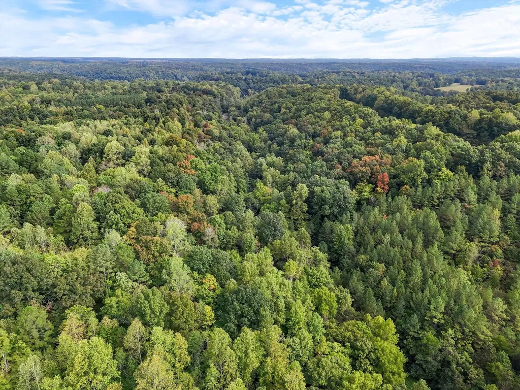 1344 Cut Off Road Ethridge TN 38456