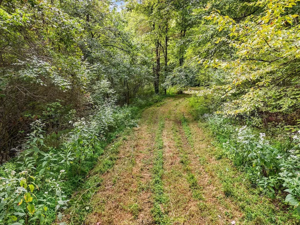 1344 Cut Off Road Ethridge TN 38456