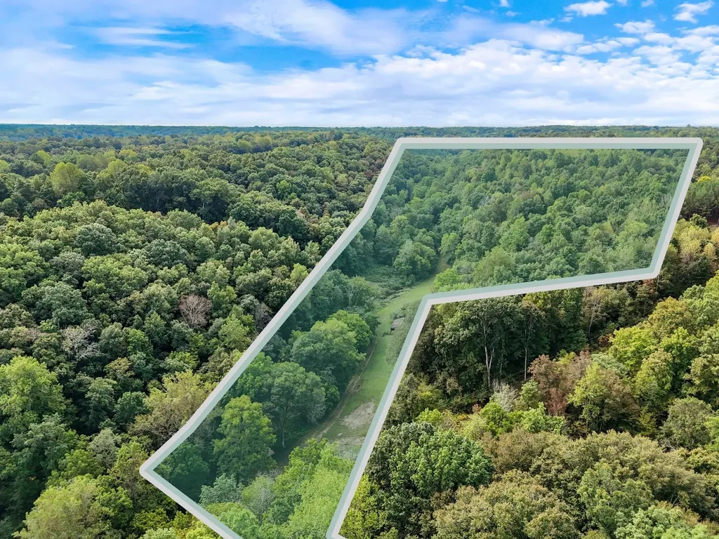 1344 Cut Off Road Ethridge TN 38456