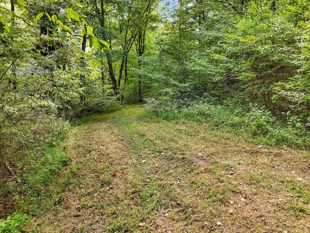 1344 Cut Off Road Ethridge TN 38456