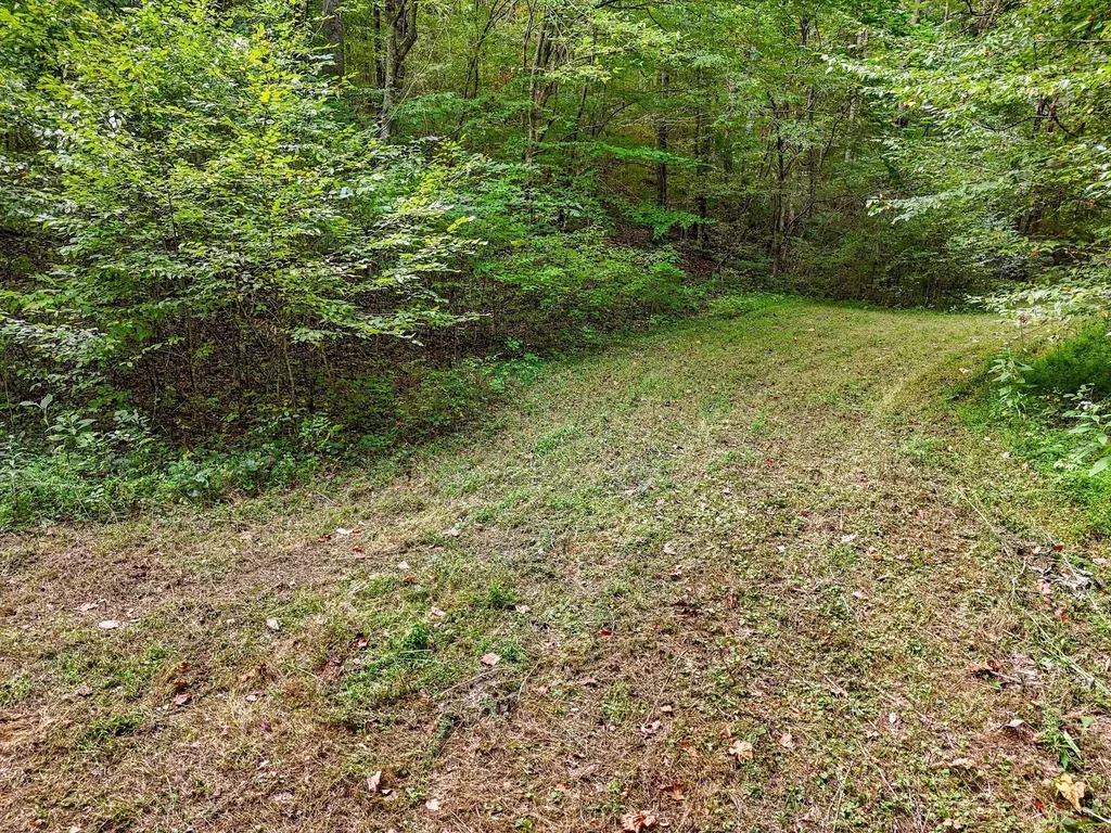 1344 Cut Off Road Ethridge TN 38456
