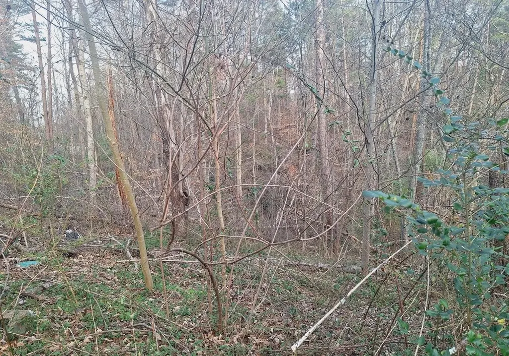 247 Towee Falls Road Tellico Plains TN 37385