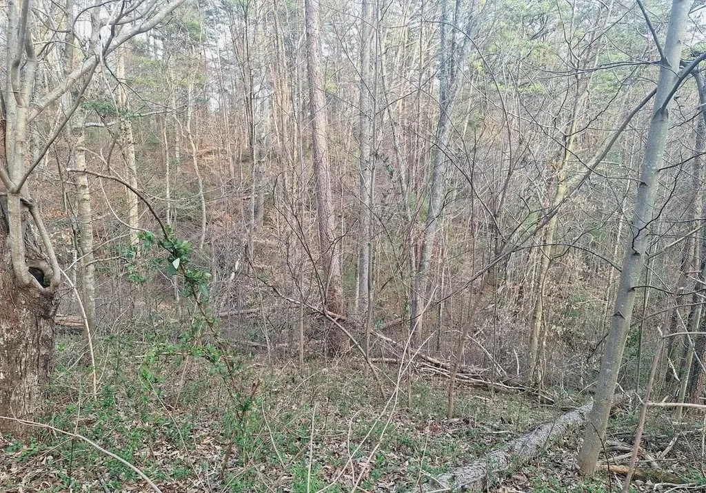 247 Towee Falls Road Tellico Plains TN 37385
