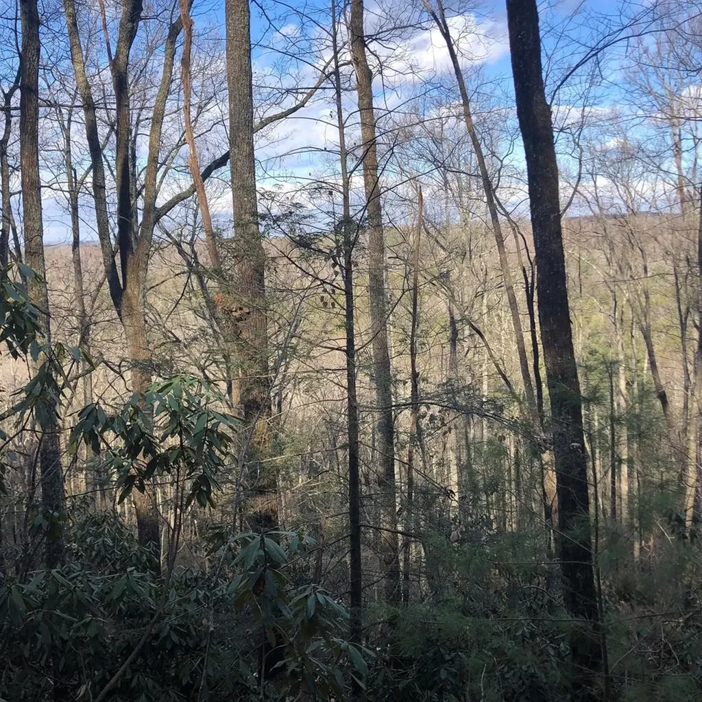 450 Holder Cemetery Road Tellico Plains TN 37385