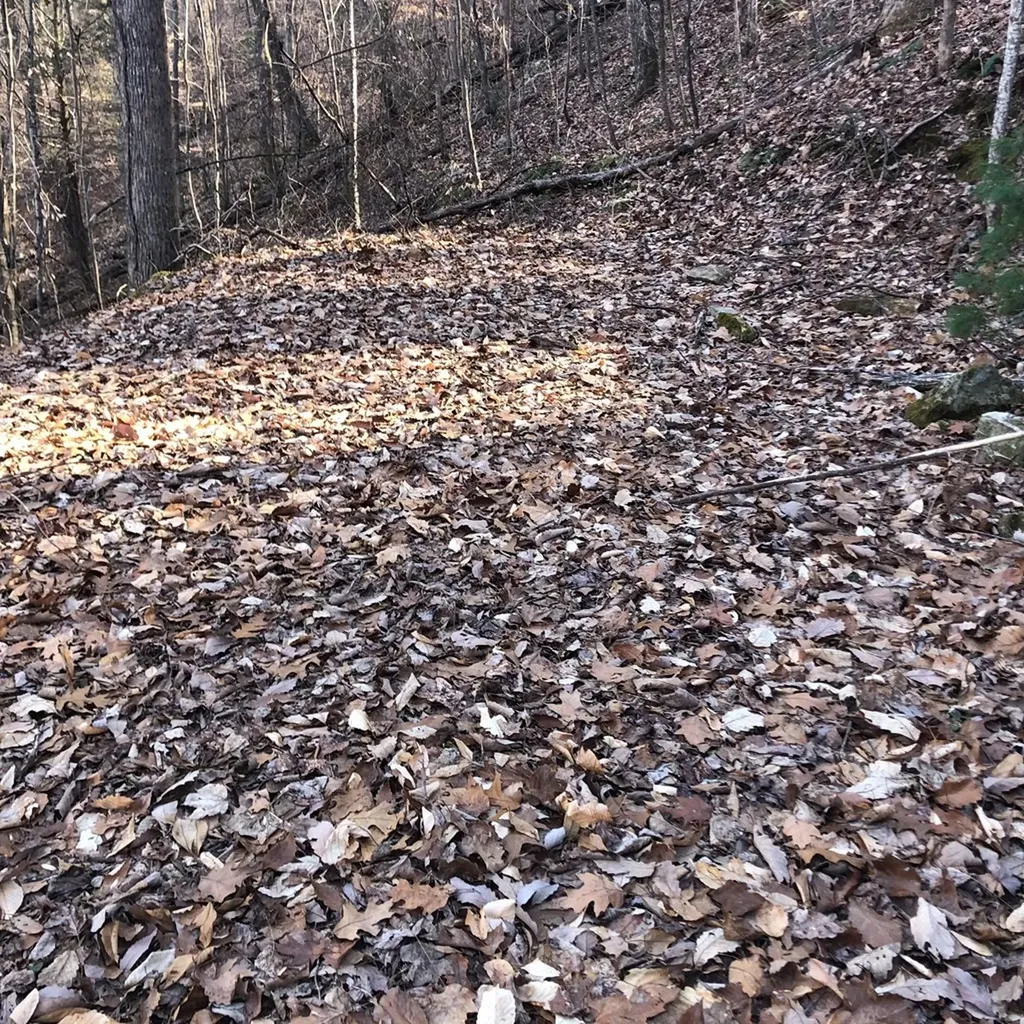 450 Holder Cemetery Road Tellico Plains TN 37385