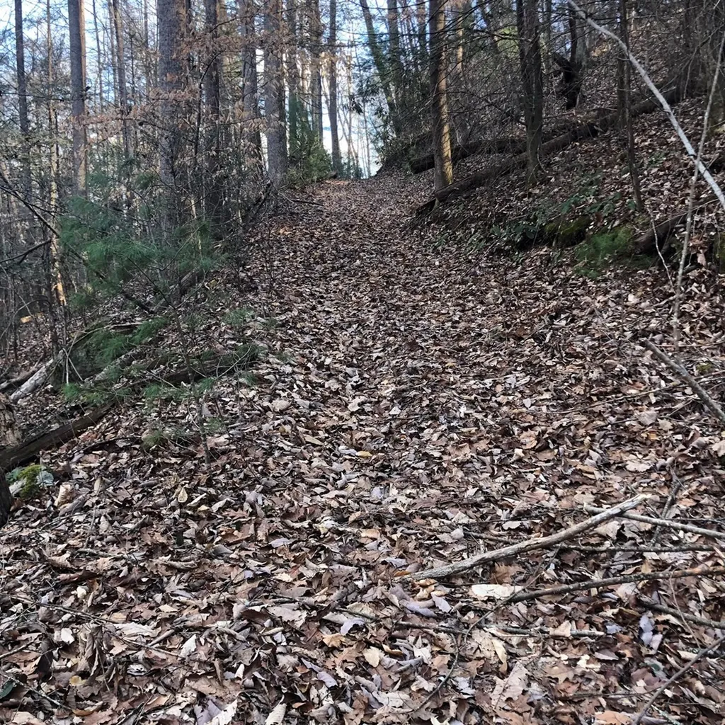450 Holder Cemetery Road Tellico Plains TN 37385