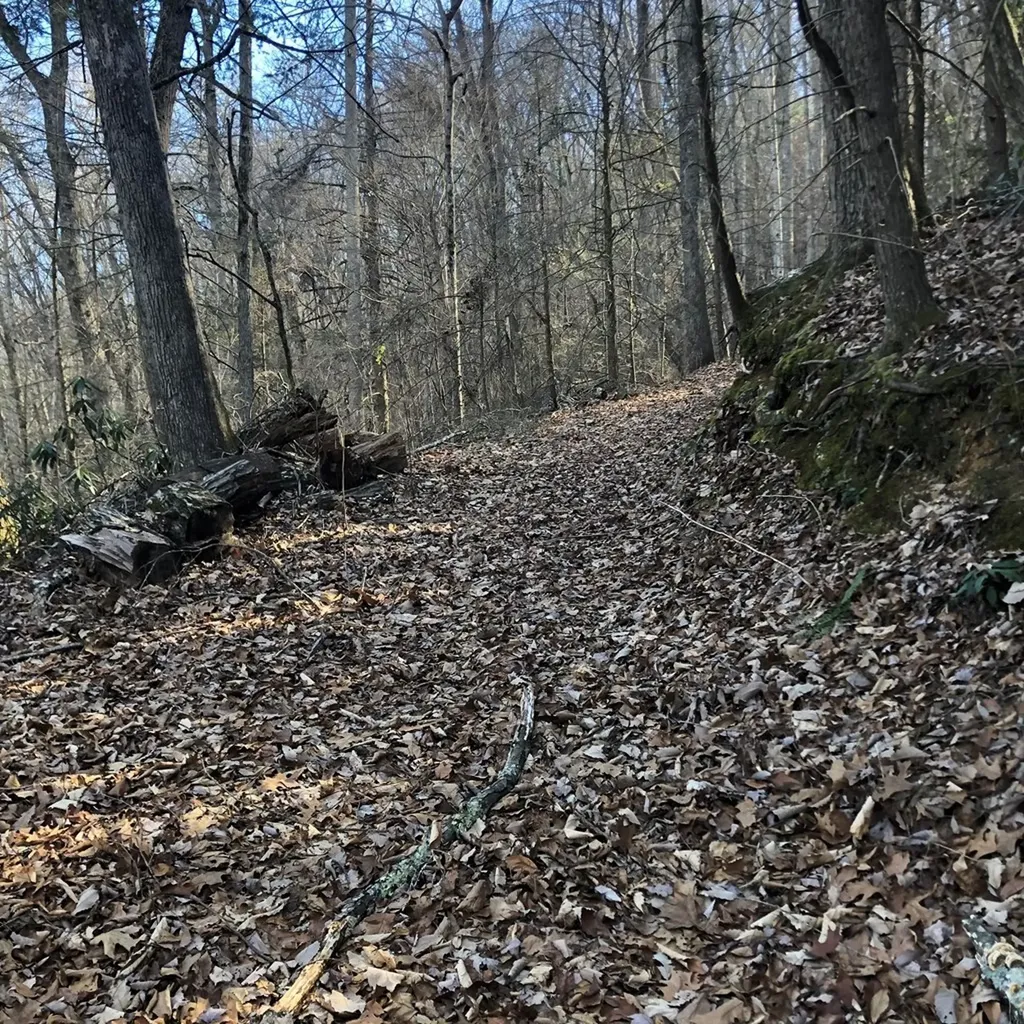 450 Holder Cemetery Road Tellico Plains TN 37385