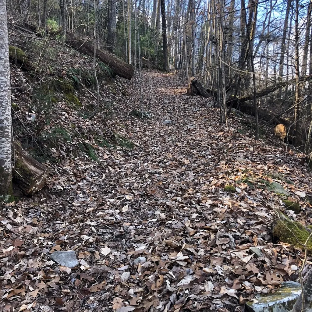 450 Holder Cemetery Road Tellico Plains TN 37385